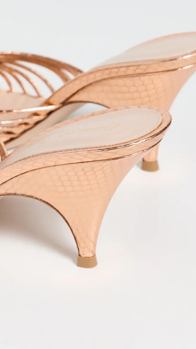 Gianvito Rossi Ayers Sandals | Thumbnail 4