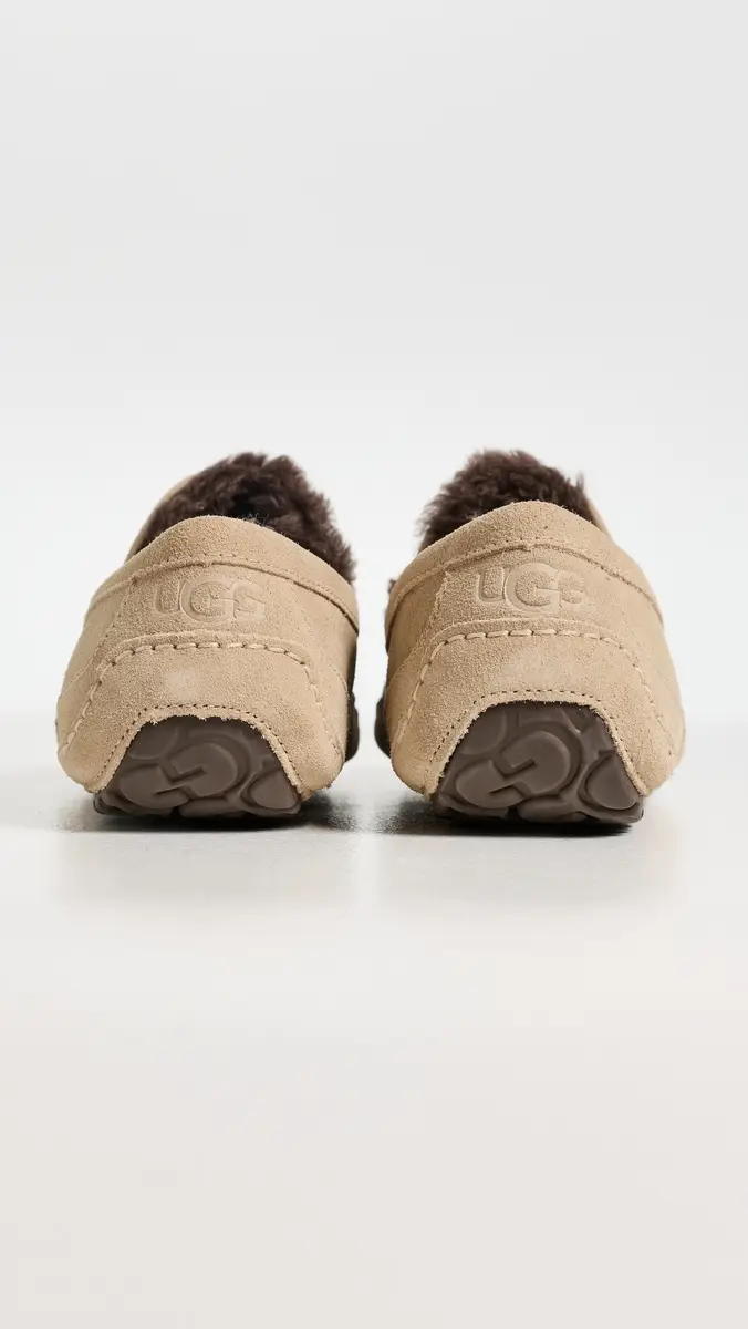 UGG Ascot Slippers Mustard Seed/Molasses | Thumbnail 3 UGG Ascot Slippers Mustard Seed/Molasses | Thumbnail 3