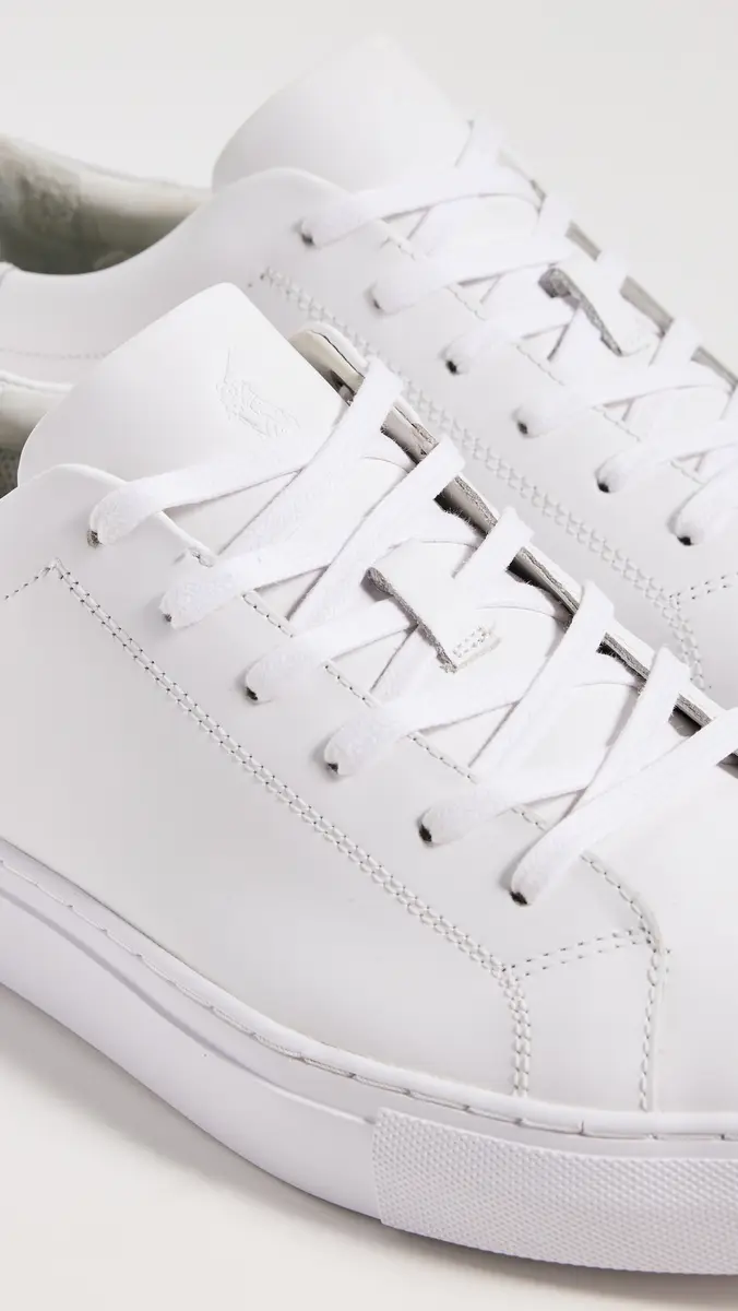 Polo Ralph Lauren Jermain Ii Leather Sneakers | Thumbnail 5 Polo Ralph Lauren Jermain Ii Leather Sneakers | Thumbnail 5