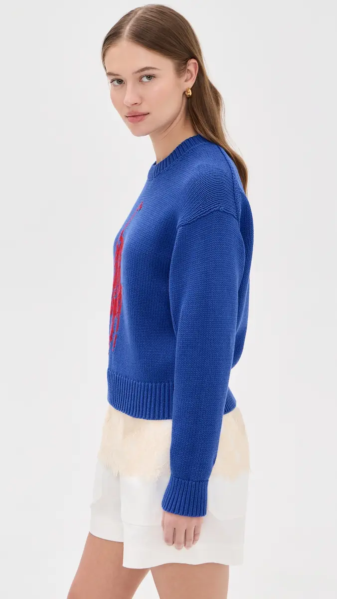 Polo Ralph Lauren Cotton Long Sleeve Crew Neck Pullover | Thumbnail 4 Polo Ralph Lauren Cotton Long Sleeve Crew Neck Pullover | Thumbnail 4