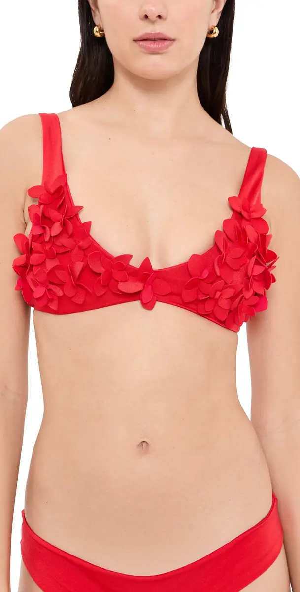 Ancora Aula Bikini Top Red | Image 1 Ancora Aula Bikini Top Red | Image 1