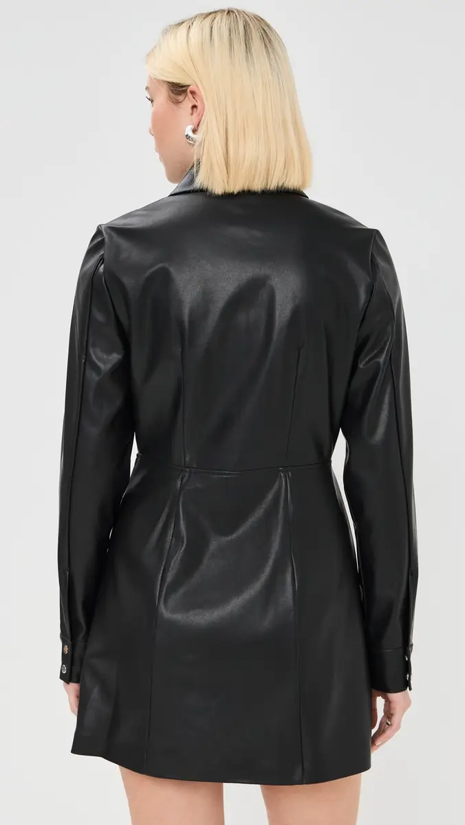 LE BOP Sloane Faux Leather Dress | Thumbnail 3 LE BOP Sloane Faux Leather Dress | Thumbnail 3