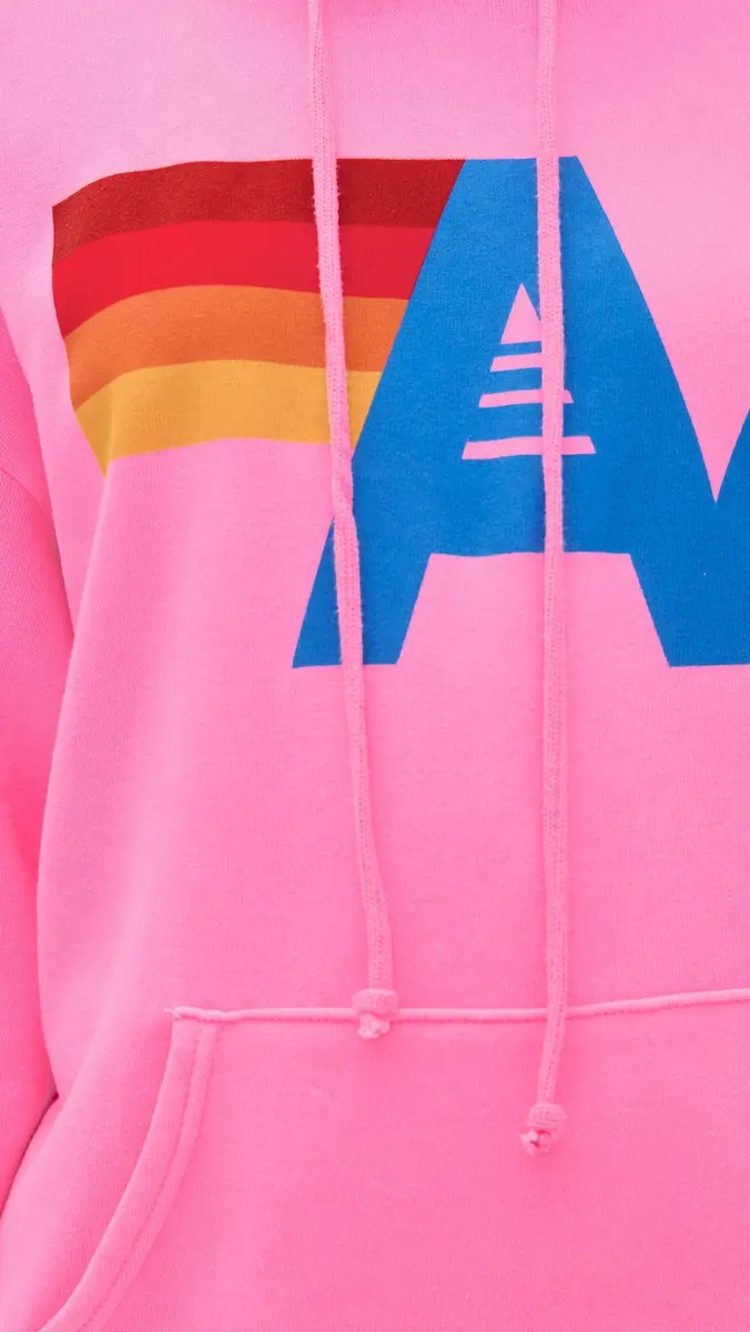 Aviator Nation Relaxed Logo Pullover Hoodie | Thumbnail 6