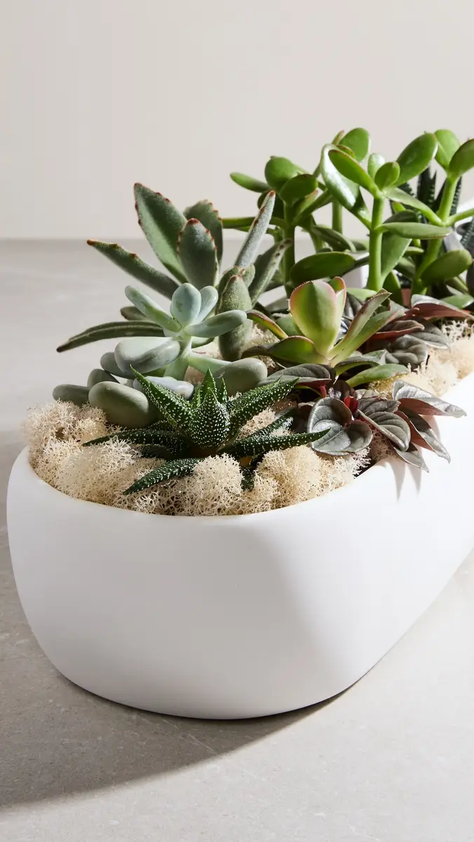 TF DESIGN Cuadrado Long Centerpiece Bowl | Thumbnail 3
