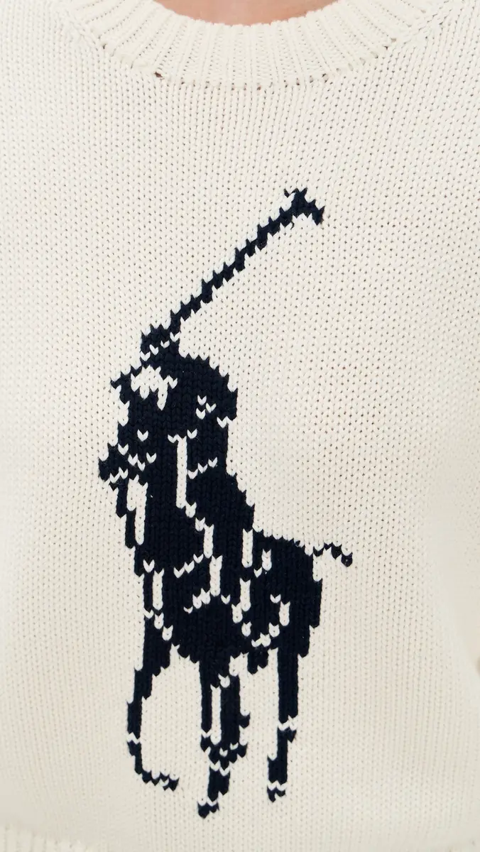 Polo Ralph Lauren Polo Logo Pullover Sweater | Thumbnail 6 Polo Ralph Lauren Polo Logo Pullover Sweater | Thumbnail 6