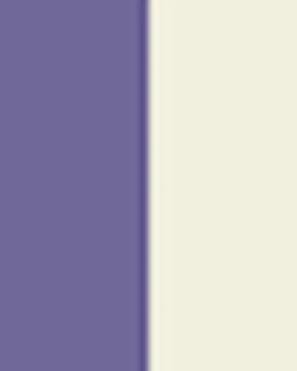MacKenzie-Childs Violet Check Pinch Bowl | Thumbnail 2 MacKenzie-Childs Violet Check Pinch Bowl | Thumbnail 2