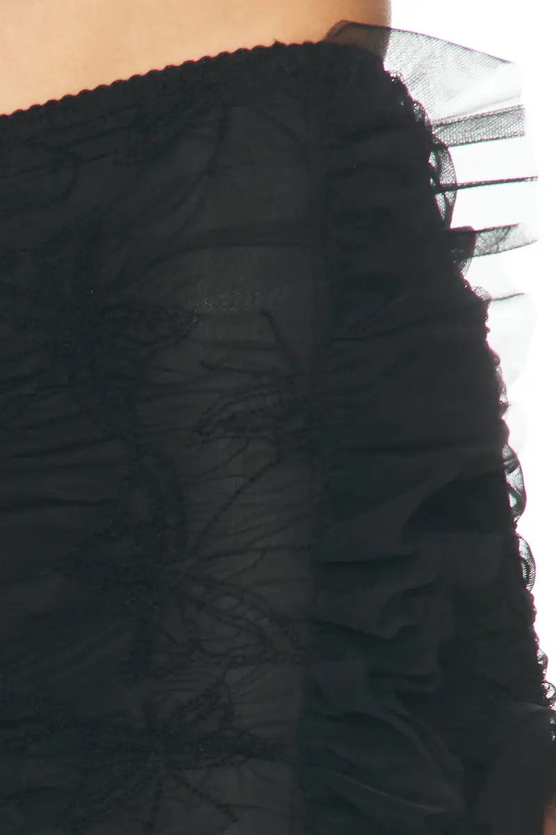 BLUMARINE Net Sheer Skirt | Thumbnail 6 BLUMARINE Net Sheer Skirt | Thumbnail 6