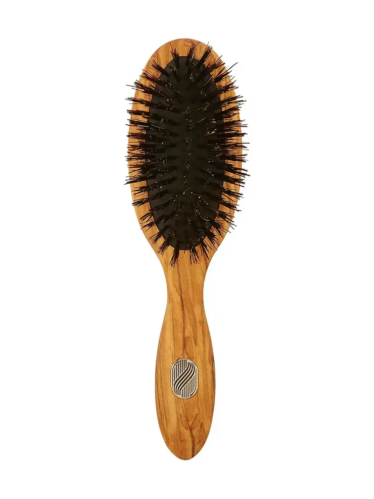 Altesse Studio Beaute Petite Repair & Shine Brush Fine To Medium