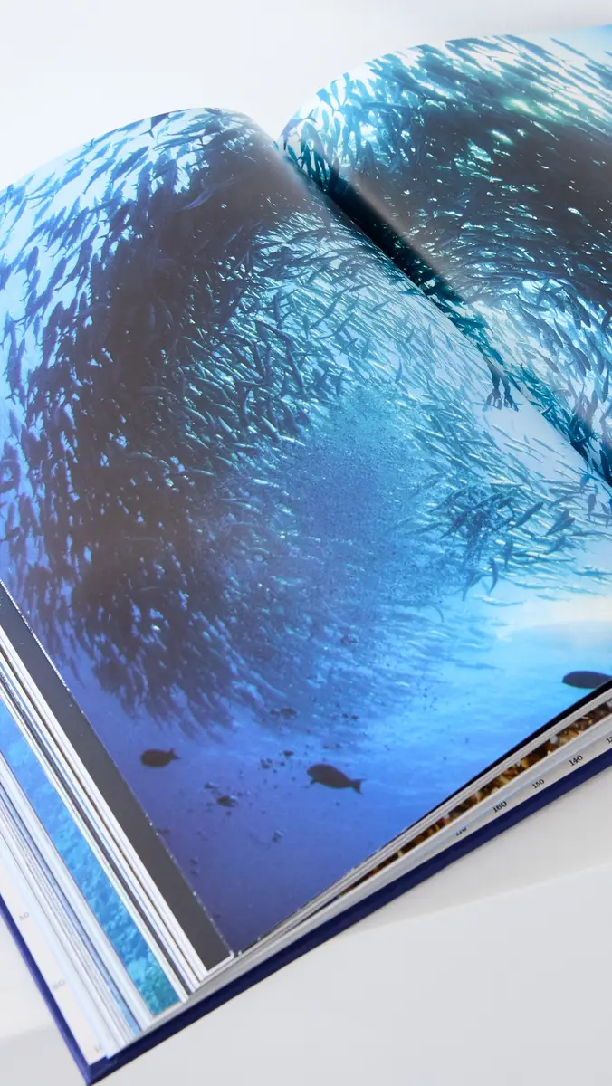 ASSOULINE Ocean Wanderlust Book | Thumbnail 5 ASSOULINE Ocean Wanderlust Book | Thumbnail 5