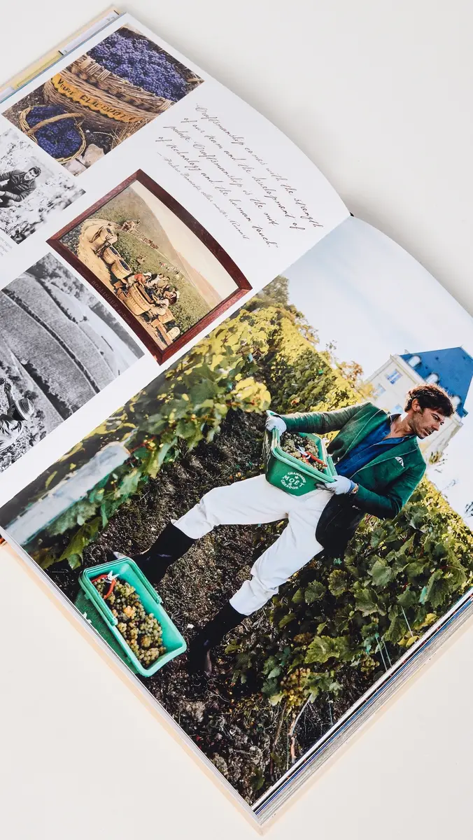 ASSOULINE Wine & Travel France Book | Thumbnail 4