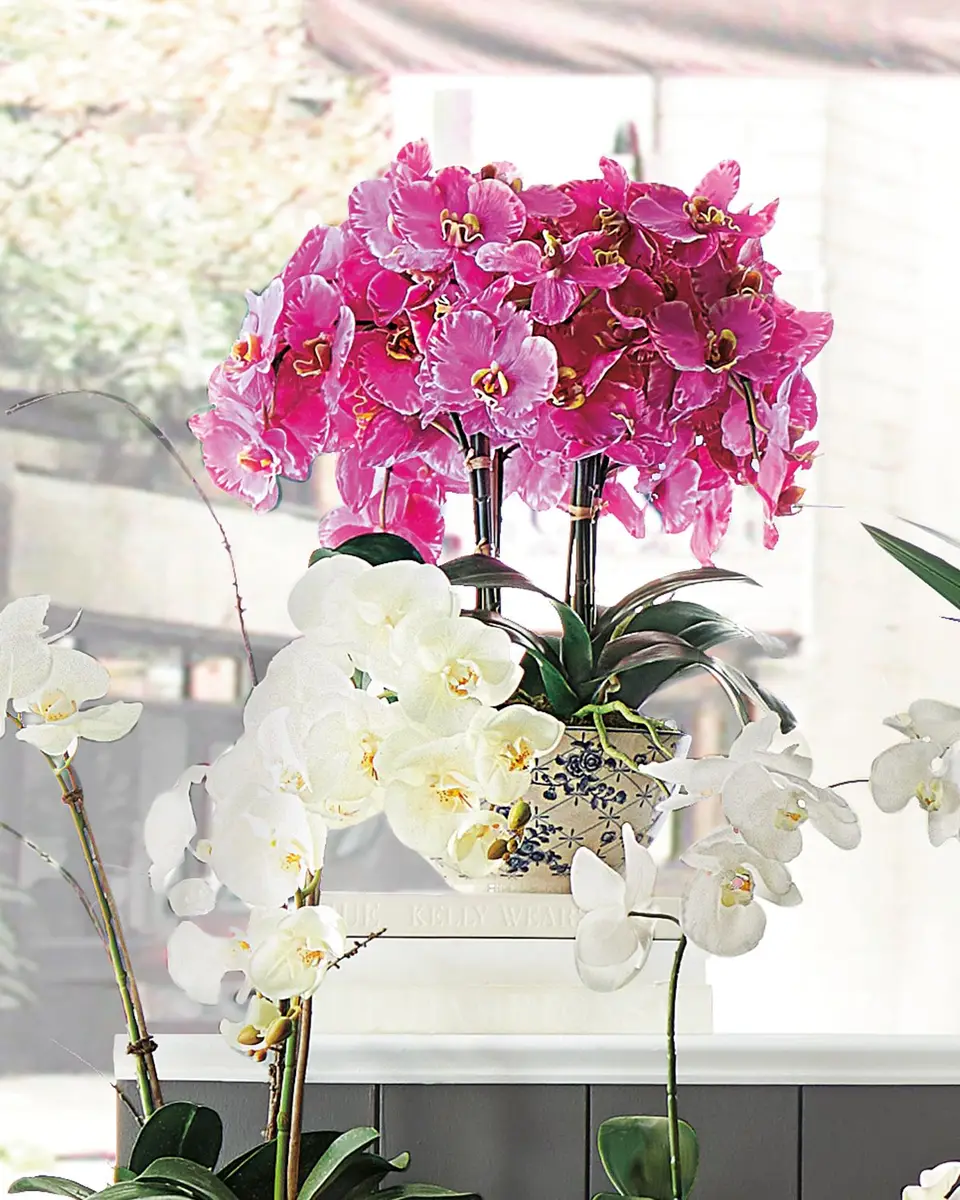 Winward Home Orchid in Rose Trellis Bowl | Thumbnail 2 Winward Home Orchid in Rose Trellis Bowl | Thumbnail 2