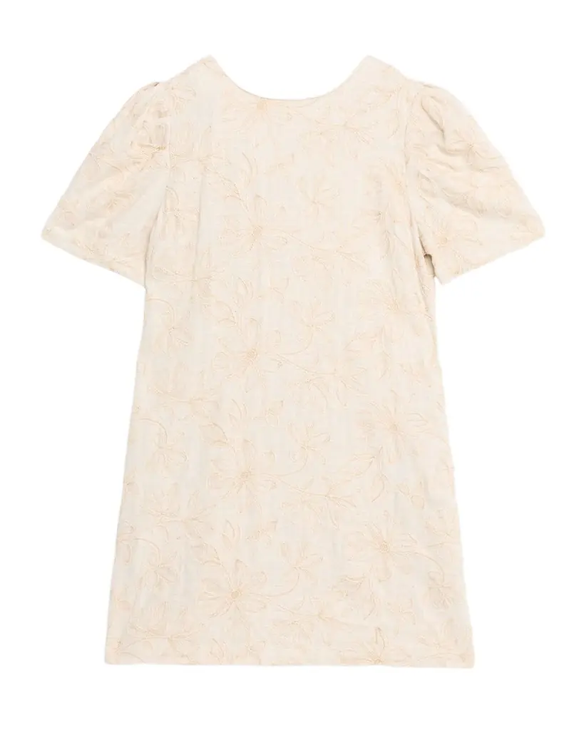 MISA Los Angeles Athela Floral Embroidered Mini Dress | Image 1 MISA Los Angeles Athela Floral Embroidered Mini Dress | Image 1