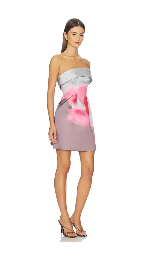 Amur Zelie Mini Dress | Thumbnail 2 Amur Zelie Mini Dress | Thumbnail 2