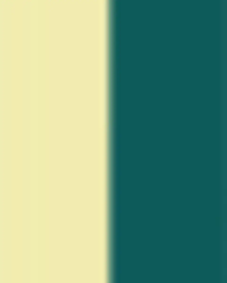 GINORI 1735 Florenza Acanto Dinner Plate | Thumbnail 3 GINORI 1735 Florenza Acanto Dinner Plate | Thumbnail 3