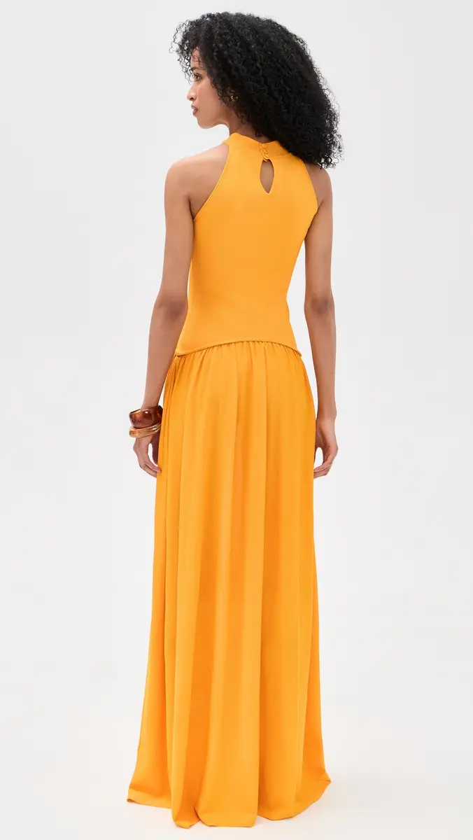 Solid & Striped The Isola Dress Pineapple | Thumbnail 3