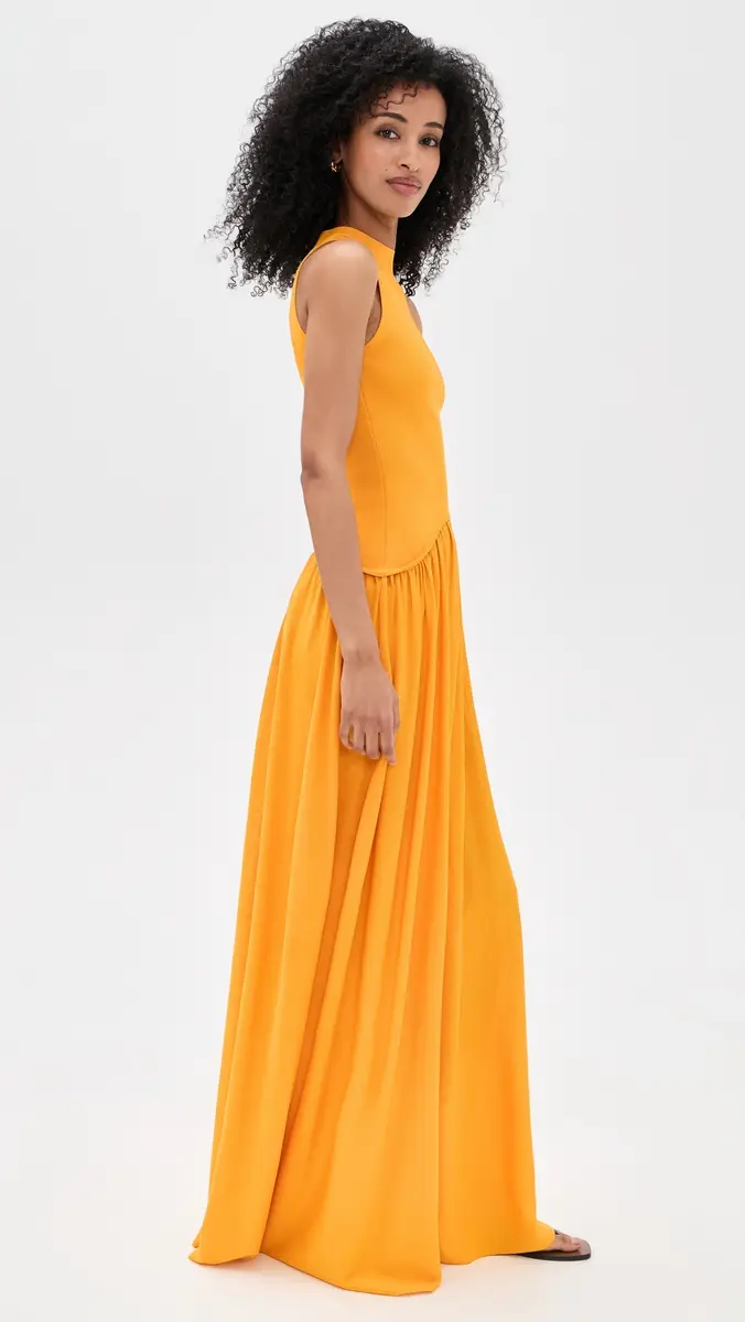 Solid & Striped The Isola Dress Pineapple | Thumbnail 4