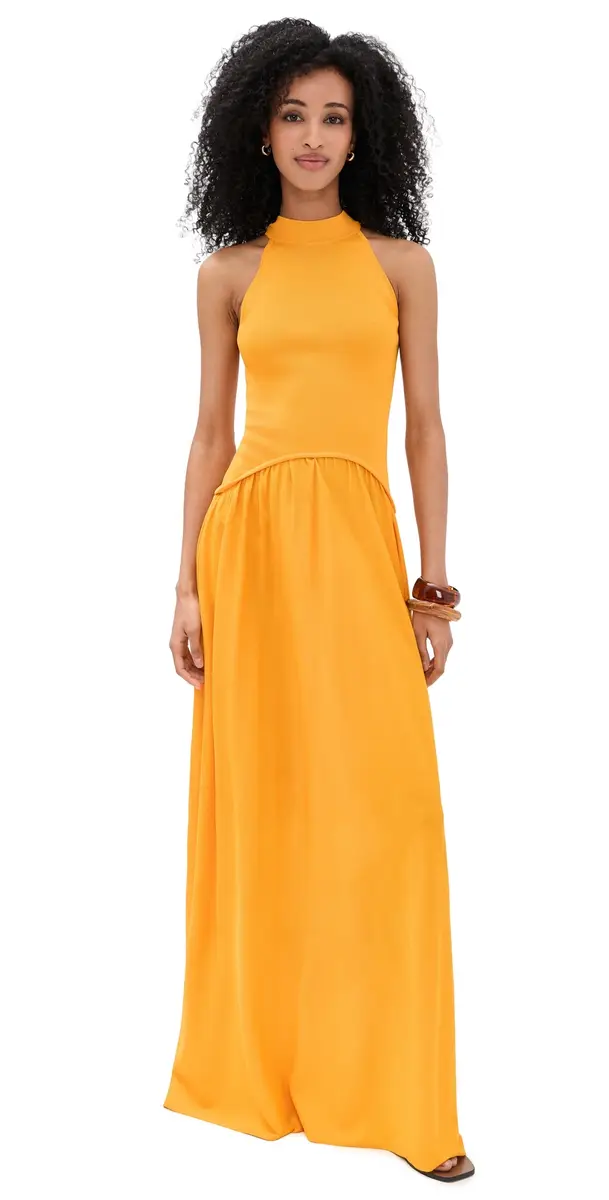 Solid & Striped The Isola Dress Pineapple | Image 1 Solid & Striped The Isola Dress Pineapple | Image 1