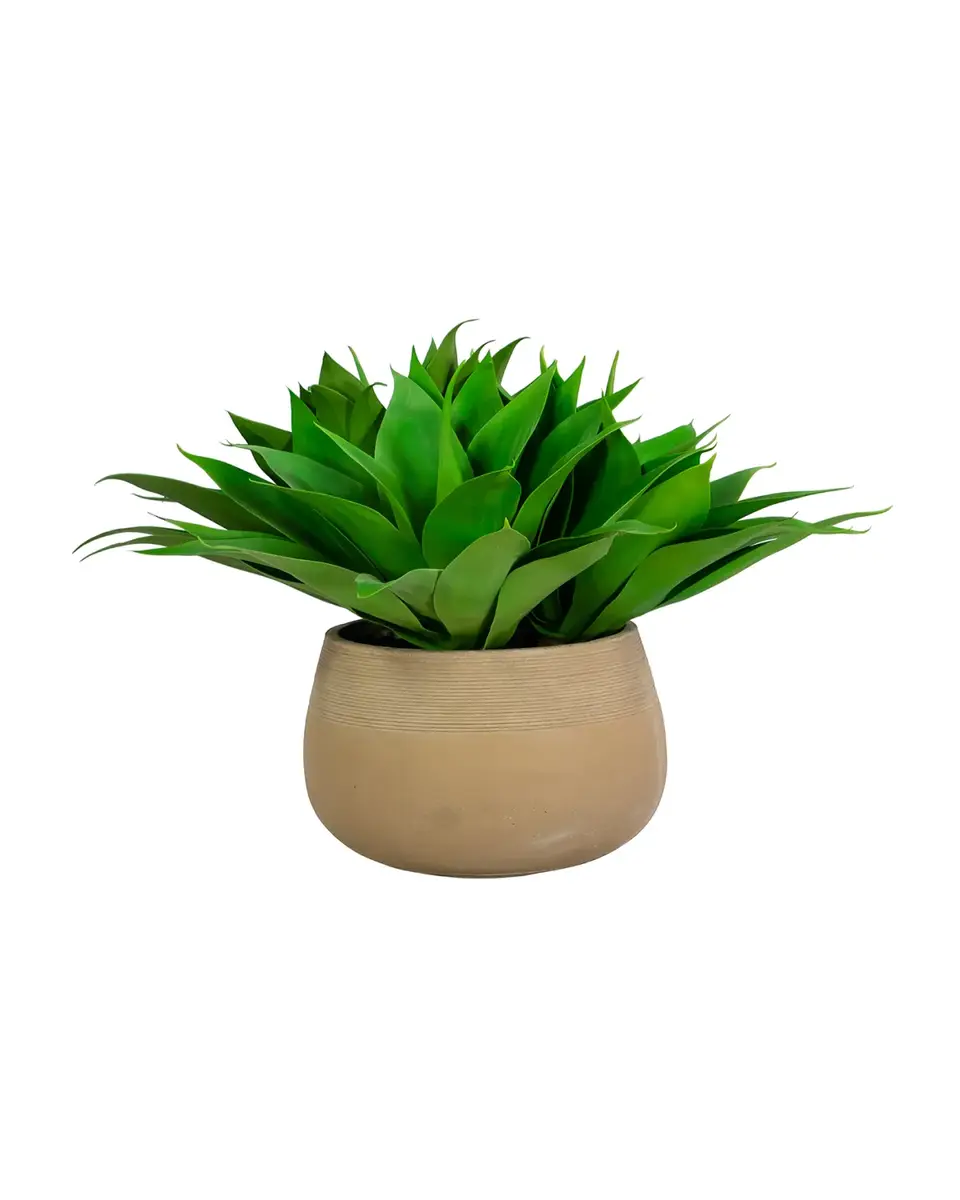 Winward Home 25" Aloe in Stonecast Planter | Thumbnail 2