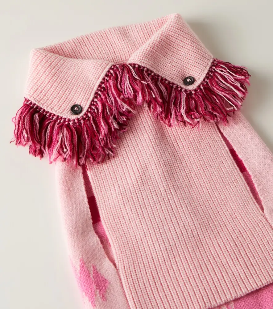 Alanui x Poldo Dog Couture dog sweater | Thumbnail 2
