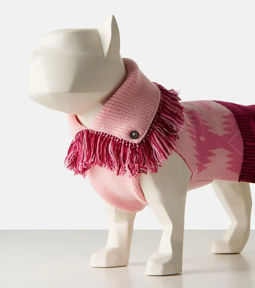 Alanui x Poldo Dog Couture dog sweater | Thumbnail 4