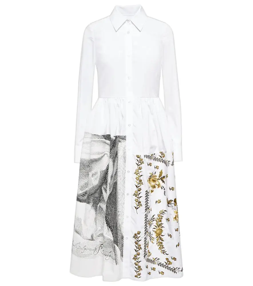 Erdem Sutton printed cotton shirt dress