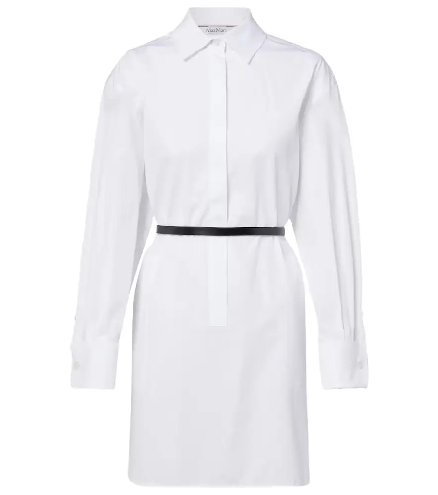 Max Mara Belted cotton poplin shirt dress