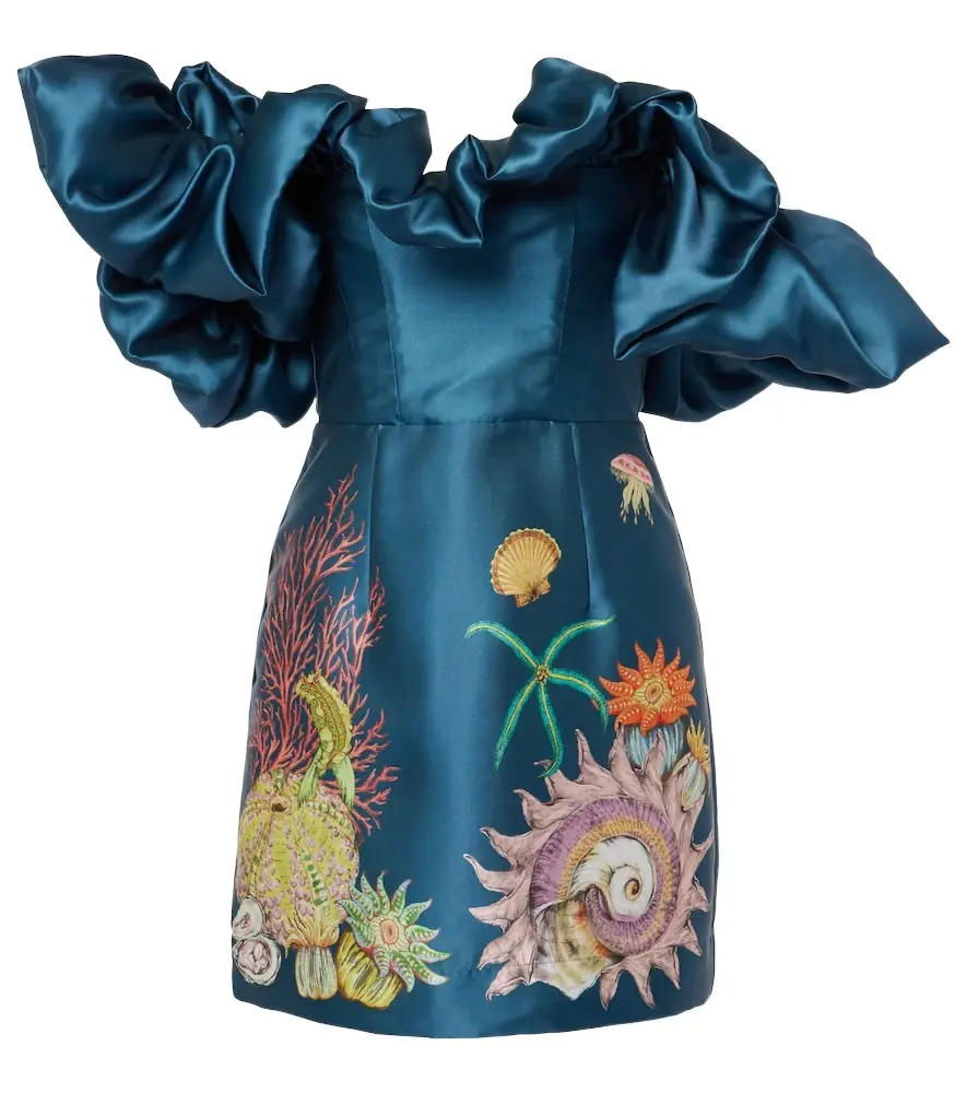 ALÉMAIS Alémais Dorian printed ruffled minidress