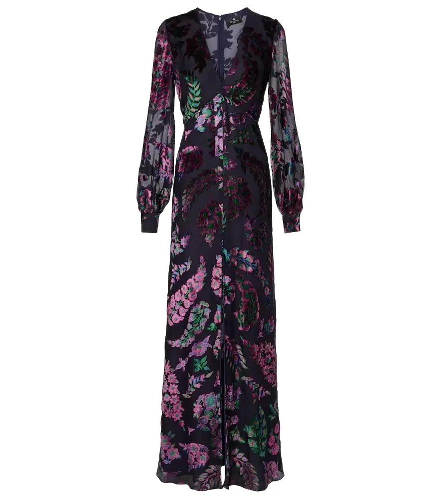 Etro Embroidered sheer gown