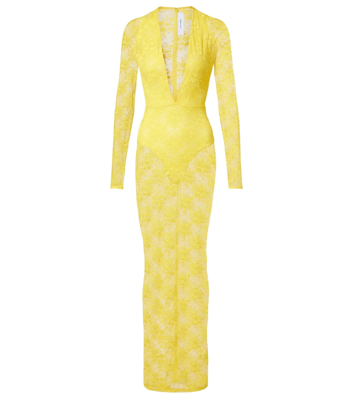 Sheer lace gown Sheer lace gown