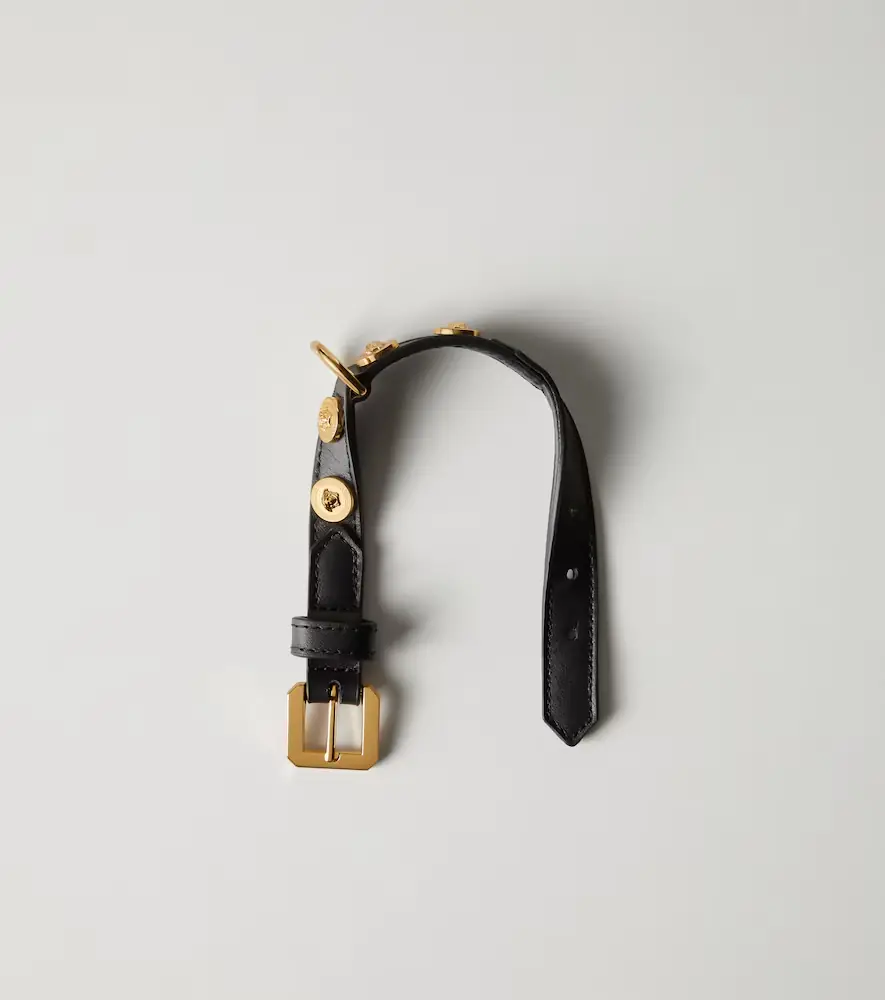 Versace Home Icon Small leather pet collar | Thumbnail 2