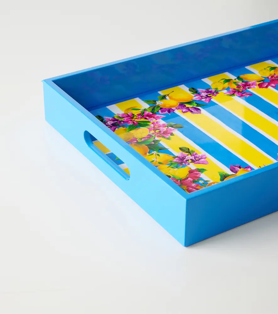 Dolce & Gabbana Casa Striped decorative ray | Thumbnail 3