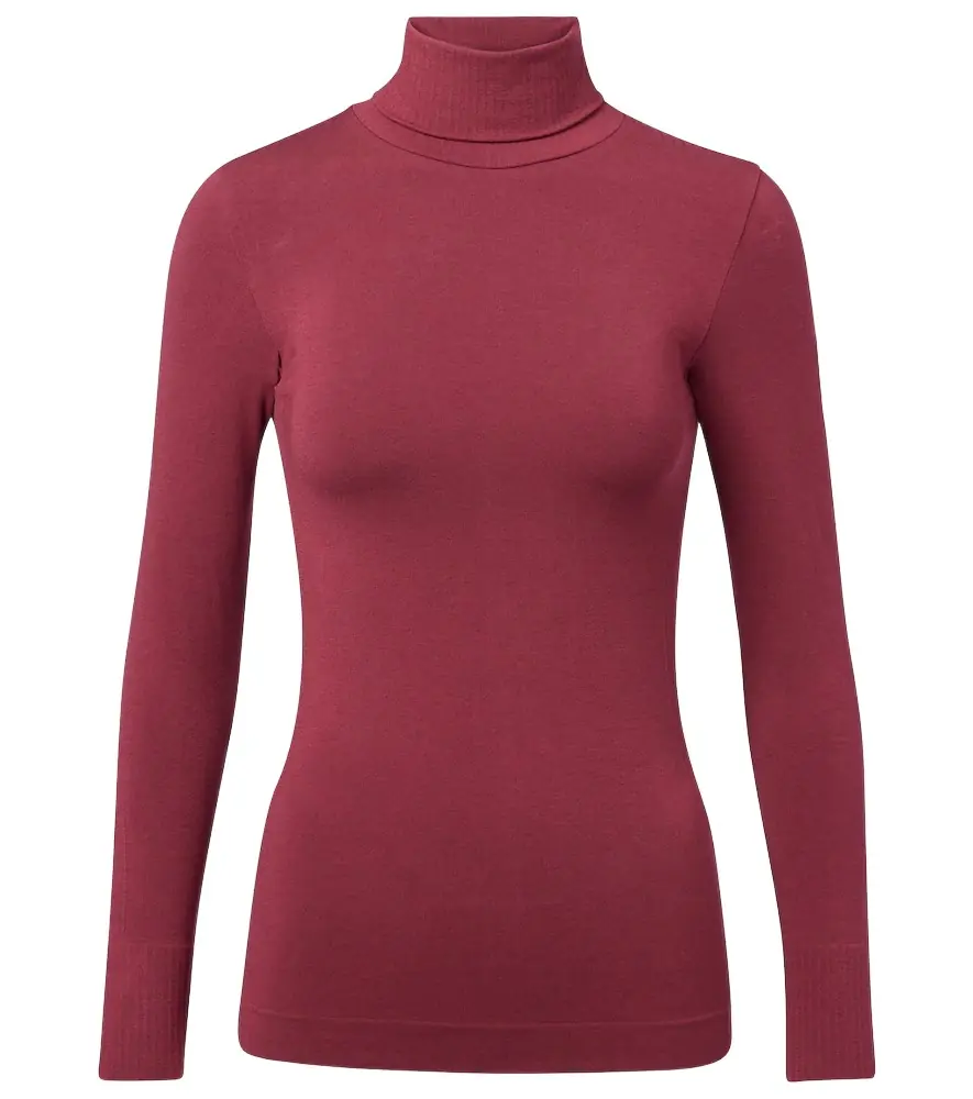 Alisier technical turtleneck sweater Alisier technical turtleneck sweater