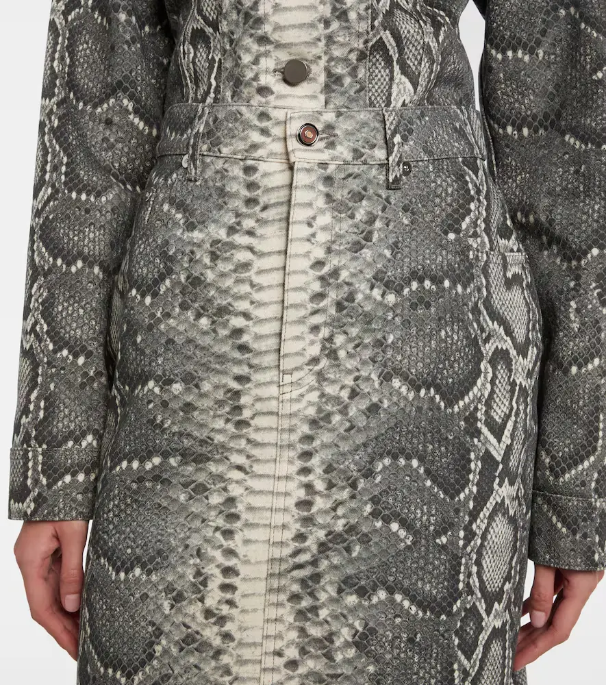 Gabriela Hearst Adelaide snake-print cotton midi skirt | Thumbnail 2 Gabriela Hearst Adelaide snake-print cotton midi skirt | Thumbnail 2