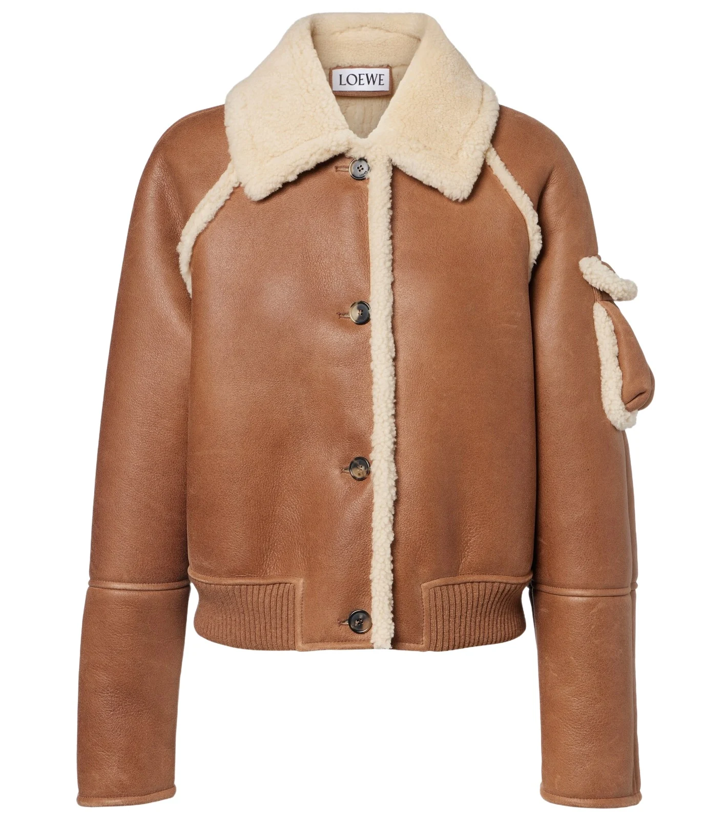 Shearling-trimmed leather blouson
