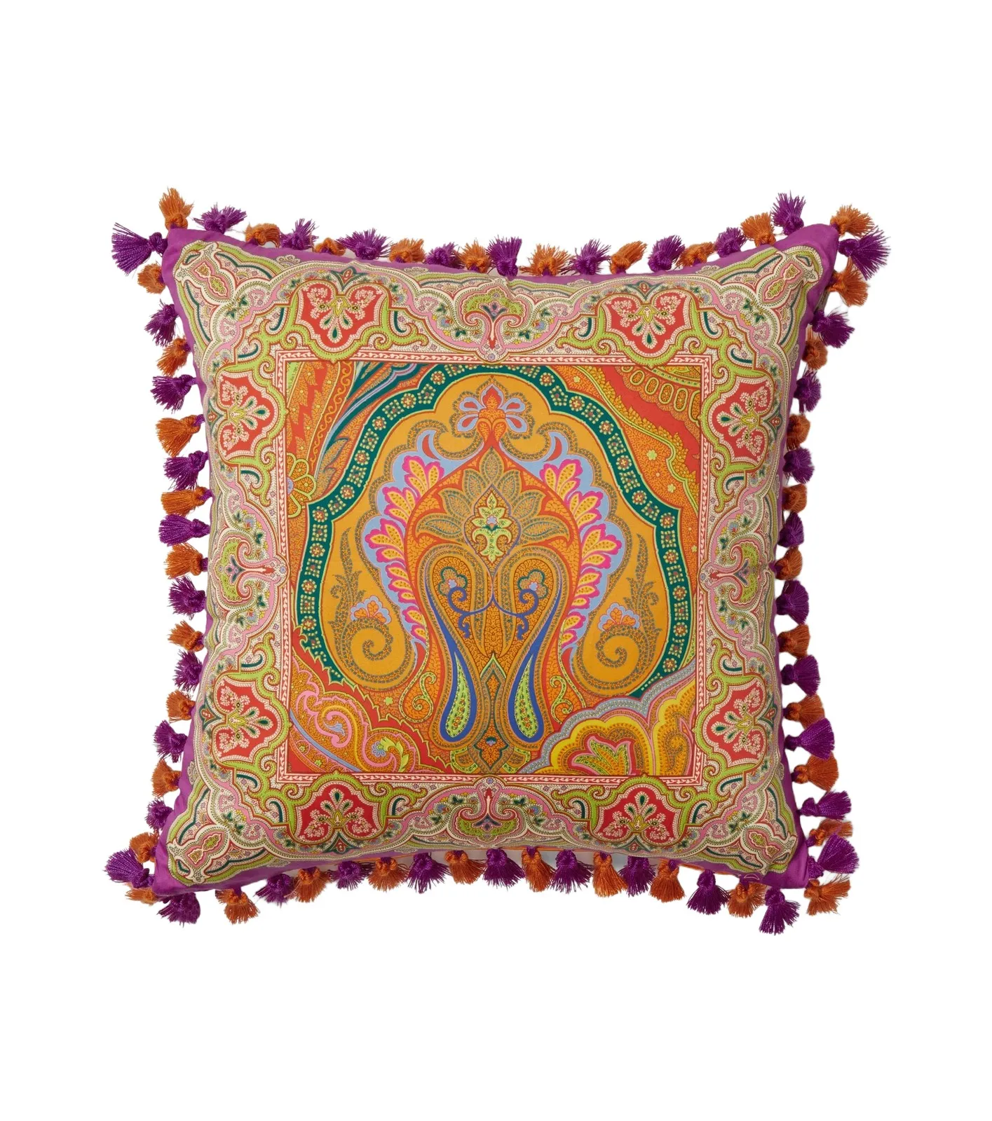 Etro Pegaso paisley cotton cushion