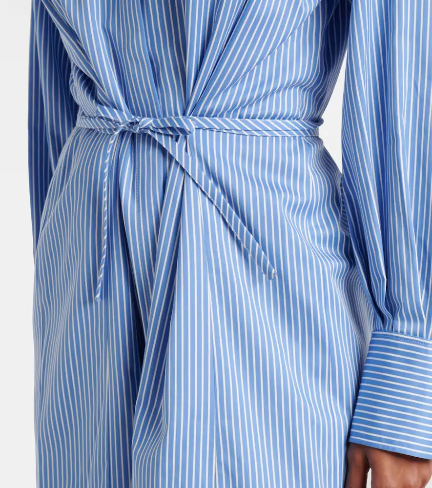 Altuzarra Floyd pinstripe cotton poplin shirt dress | Thumbnail 2