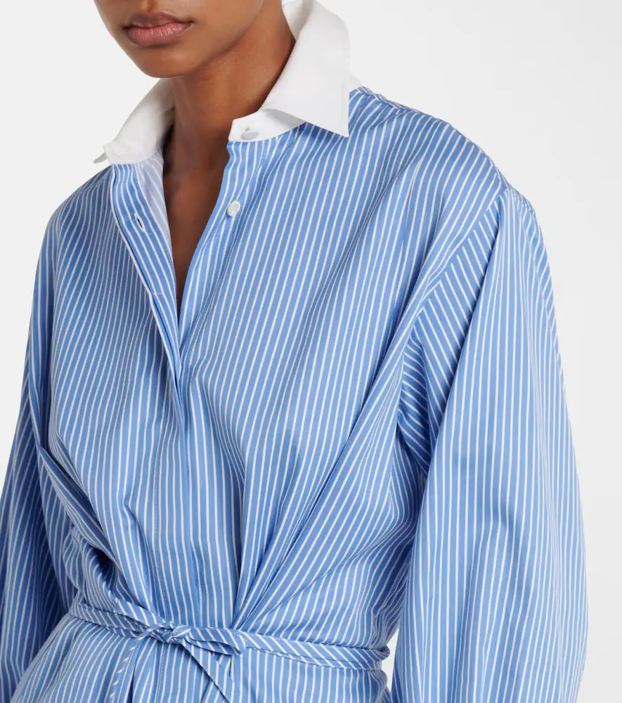 Altuzarra Floyd pinstripe cotton poplin shirt dress | Thumbnail 3