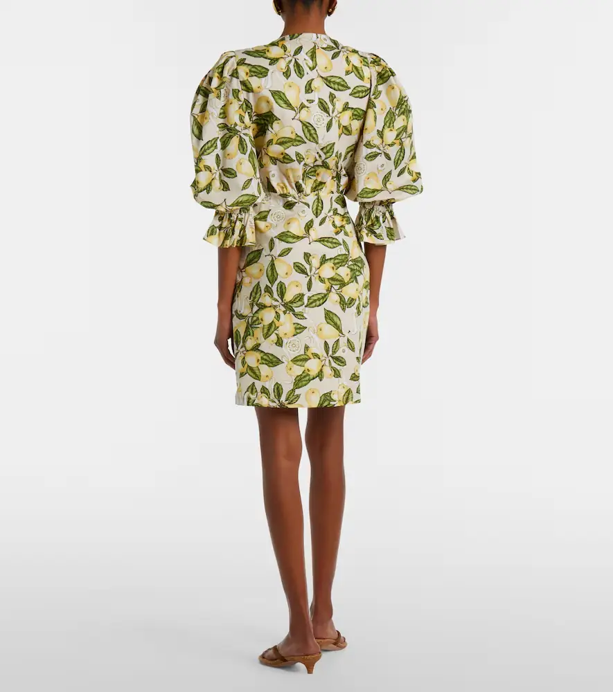 Adriana Degreas Printed cotton-blend minidress | Thumbnail 3