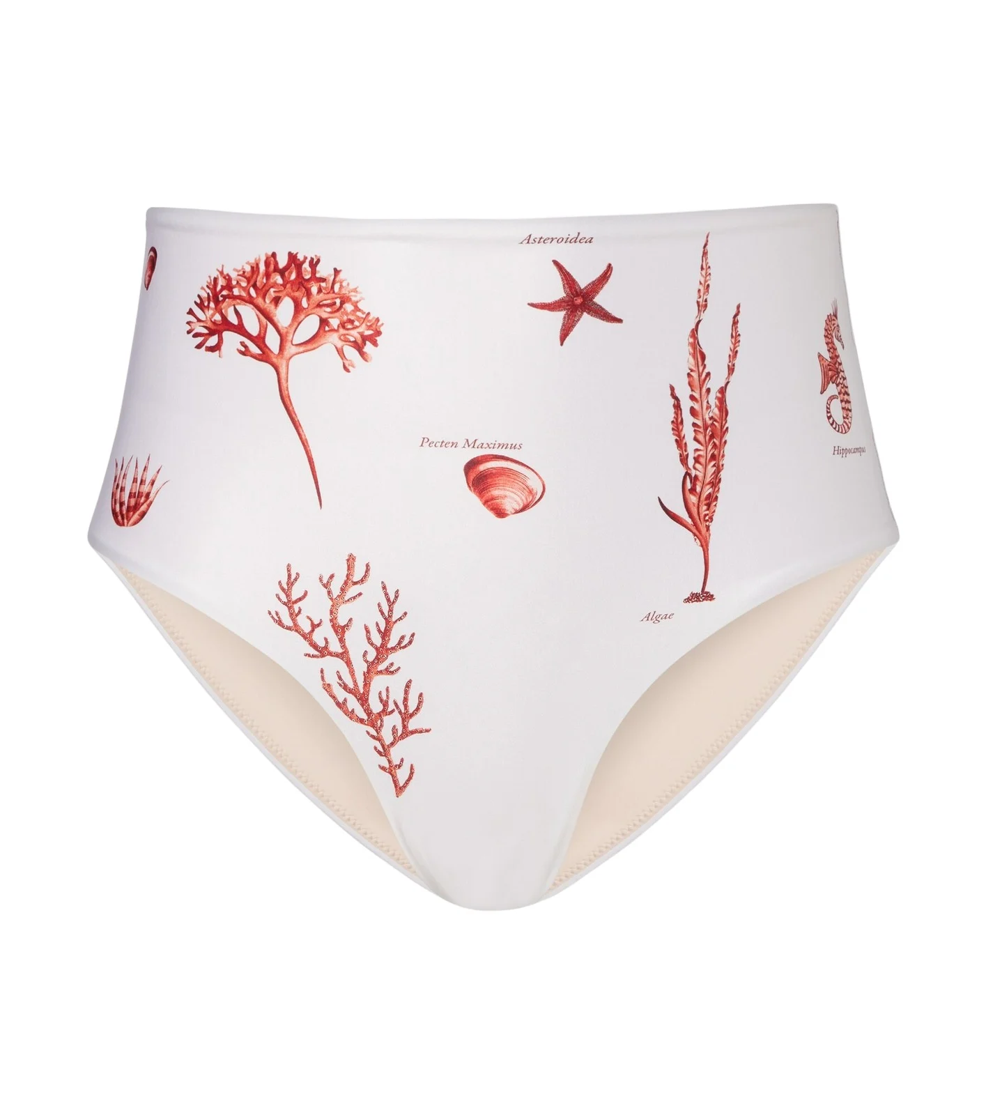 Magdalena printed bikini bottoms Magdalena printed bikini bottoms