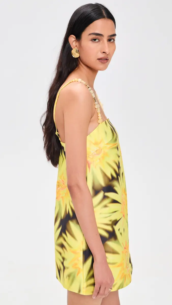 The Wolf Gang Palma Mini Dress | Thumbnail 4