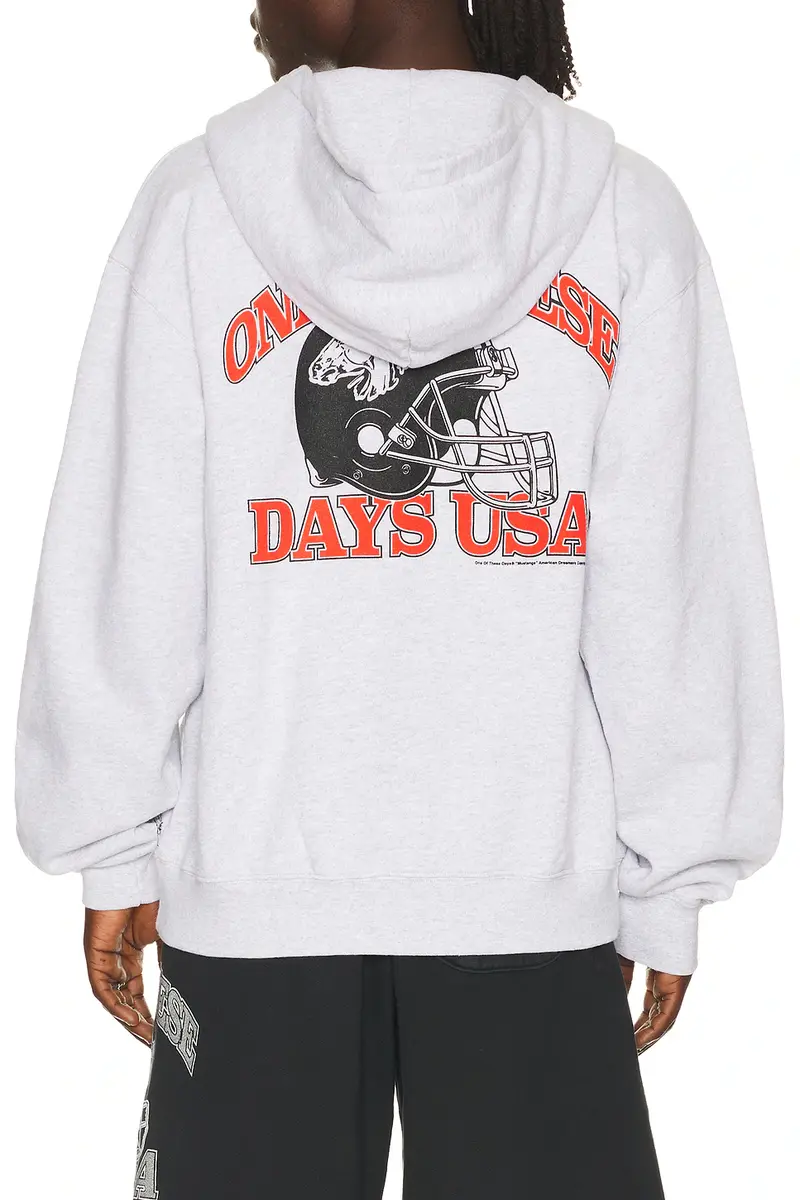 ONE OF THESE DAYS Days Usa Zip Up Hoodie | Thumbnail 2 ONE OF THESE DAYS Days Usa Zip Up Hoodie | Thumbnail 2