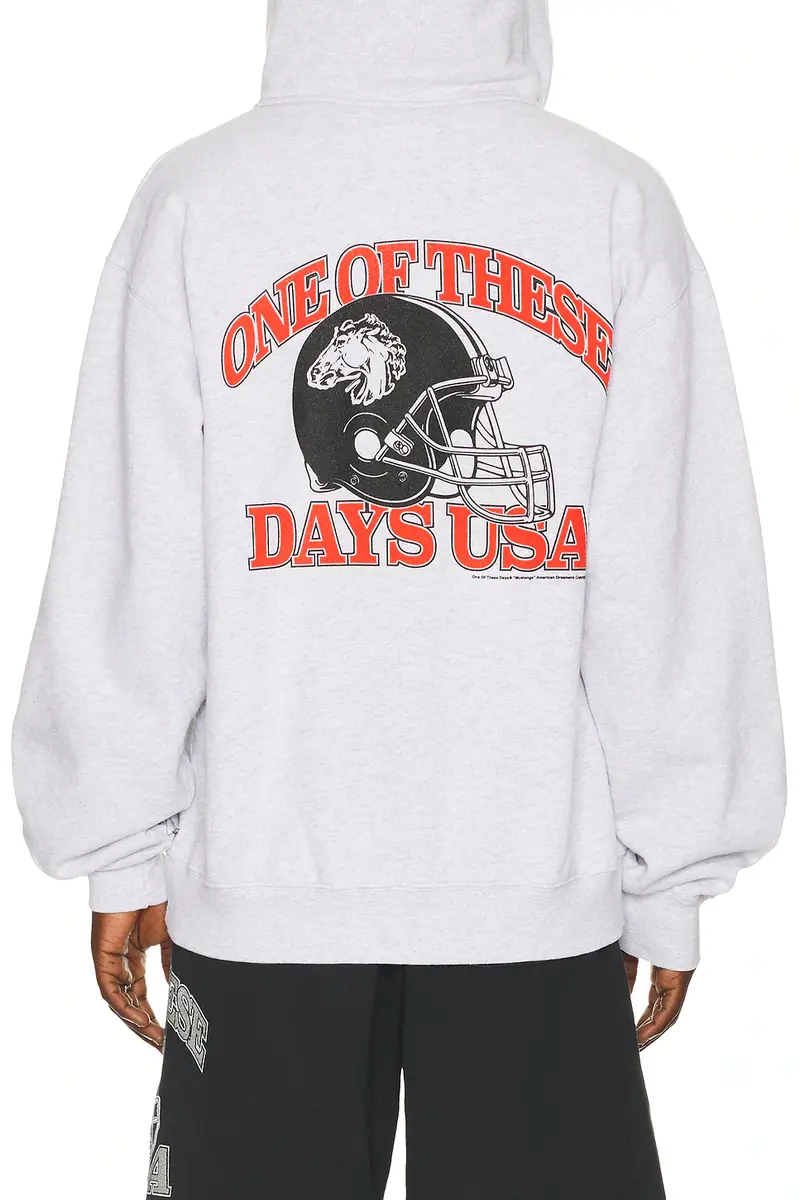 ONE OF THESE DAYS Days Usa Zip Up Hoodie | Thumbnail 3 ONE OF THESE DAYS Days Usa Zip Up Hoodie | Thumbnail 3