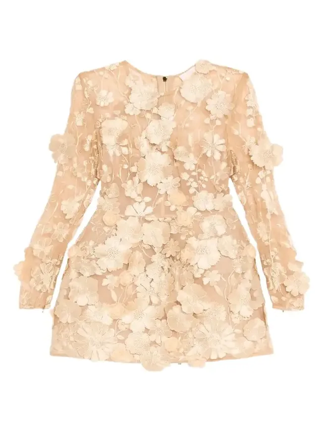 Bouquet Maraya Embroidered Illusion Mini Dress