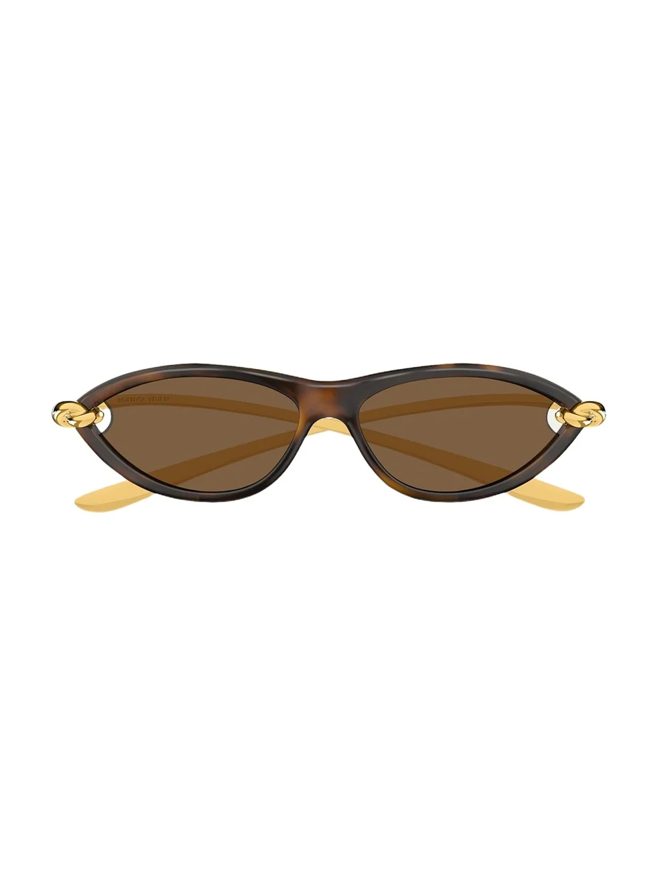 Bottega Veneta BV1390S Cat-Eye Plastic Sunglasses