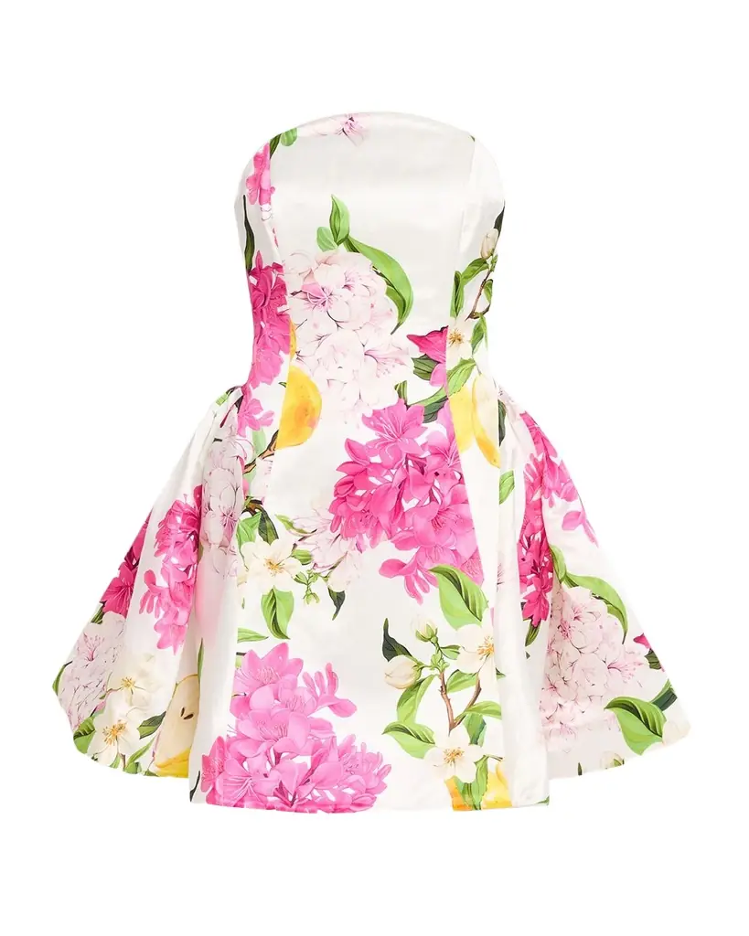 Reese Floral-Print Bustier Mini Dress