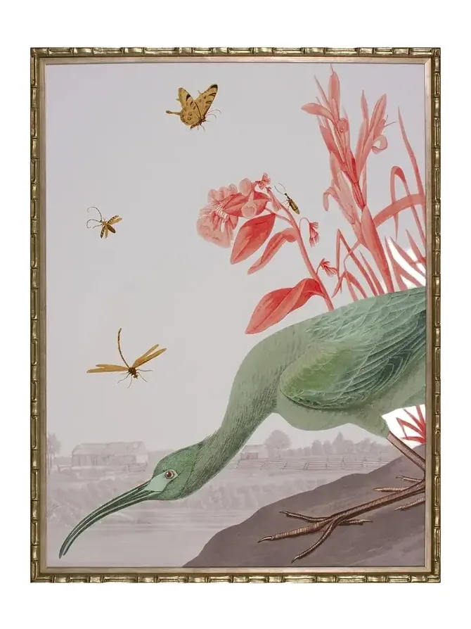 Shadow Catchers "The Glossy Ibis ~Tropical~" Wall Art