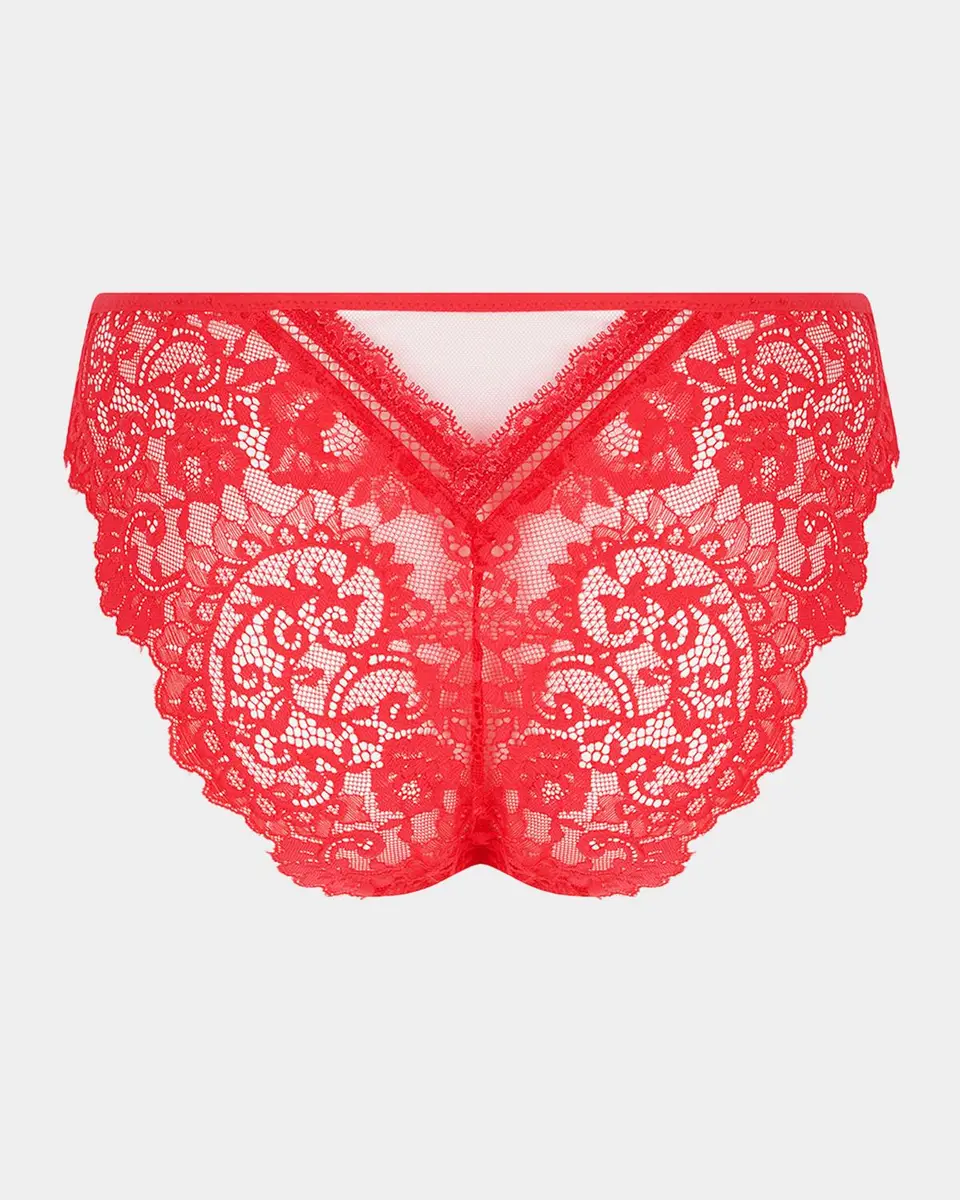 Lise Charmel Desirs De Venise Lace Italian Briefs | Thumbnail 3