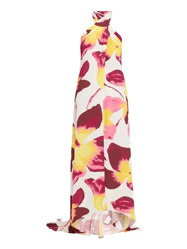 Tamsin Backless Floral-Print Halter Maxi Dress Tamsin Backless Floral-Print Halter Maxi Dress