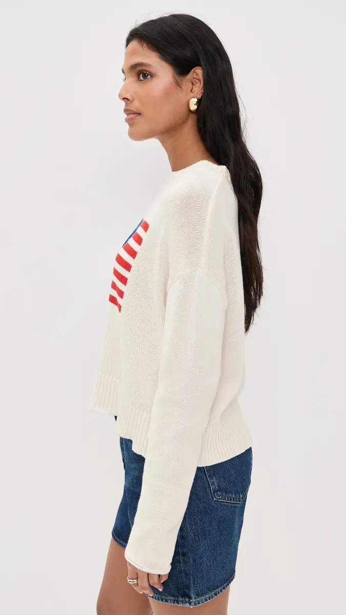 Z Supply Sienna Flag Sweater | Thumbnail 4