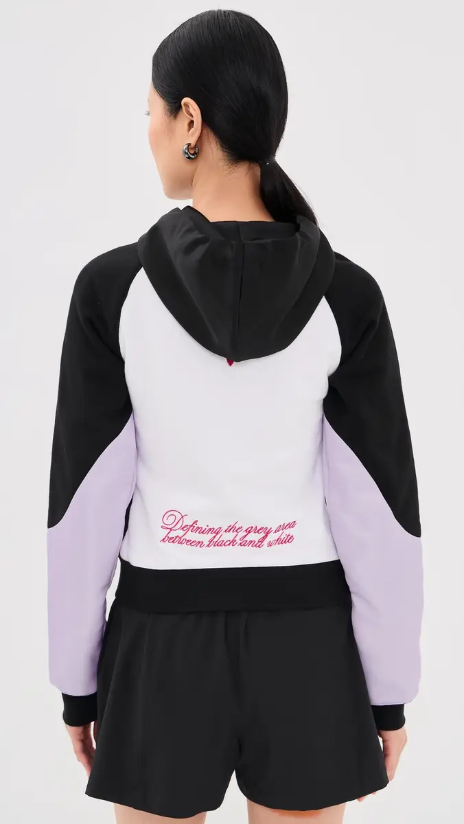 Off-White Double Eagle Colorblock Hoodie | Thumbnail 3